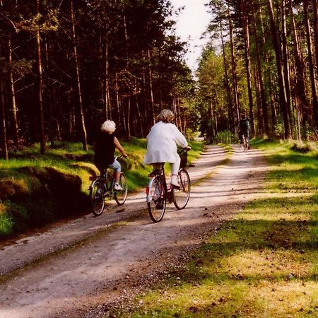 Kleine Auszeit - Natur Und Erholung In Mecklenburg Reimershagen エクステリア 写真
