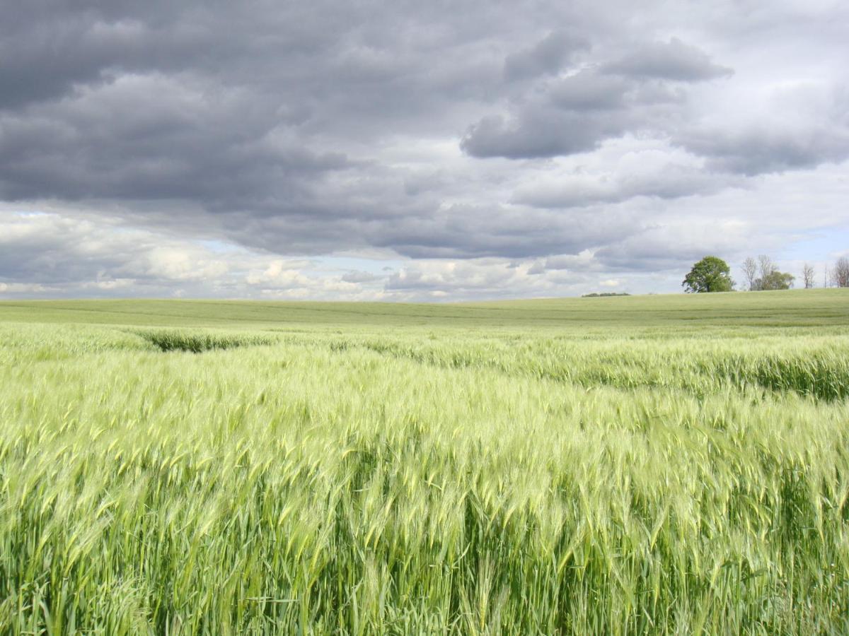 Kleine Auszeit - Natur Und Erholung In Mecklenburg Reimershagen エクステリア 写真