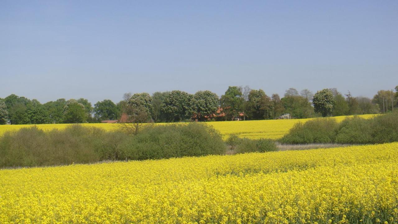 Kleine Auszeit - Natur Und Erholung In Mecklenburg Reimershagen エクステリア 写真