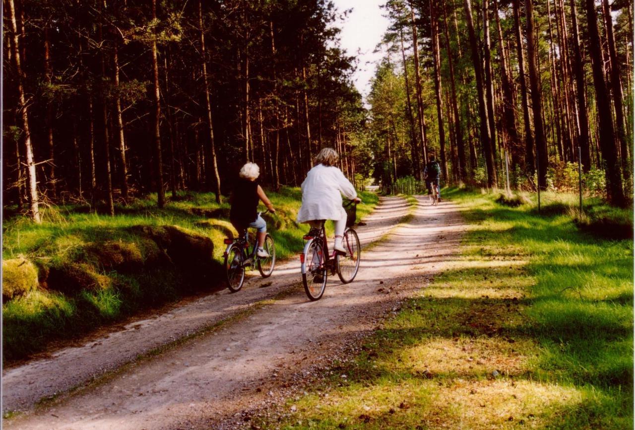 Kleine Auszeit - Natur Und Erholung In Mecklenburg Reimershagen エクステリア 写真